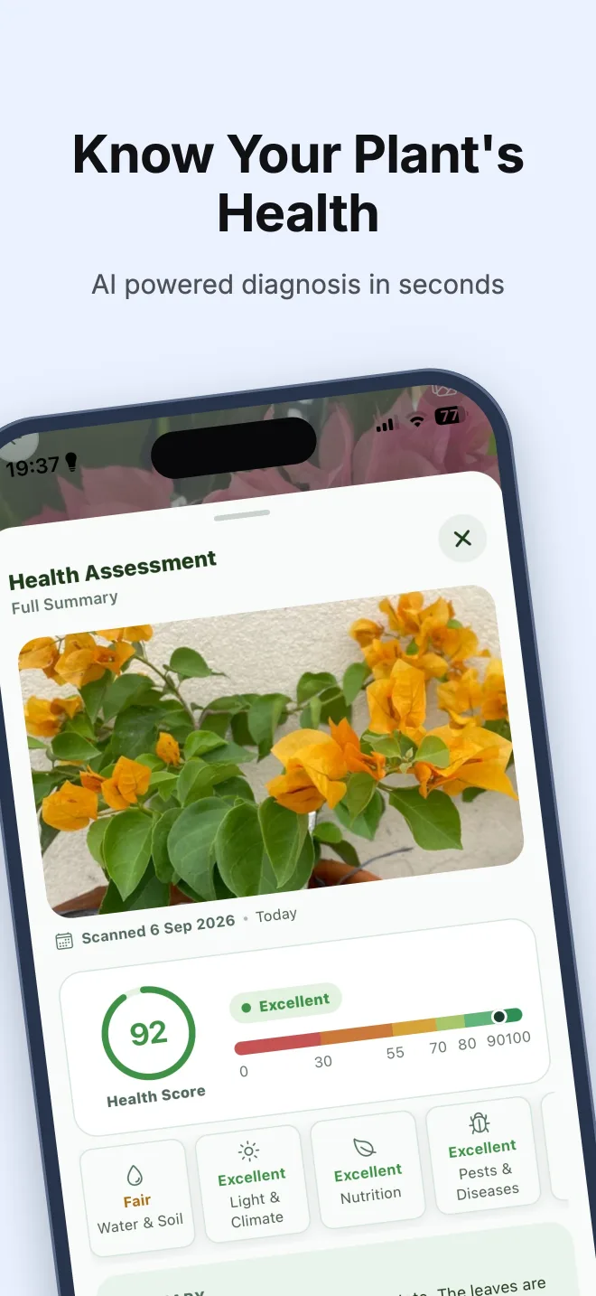 Verdora Health Assessment showing a plant Health Score and category results