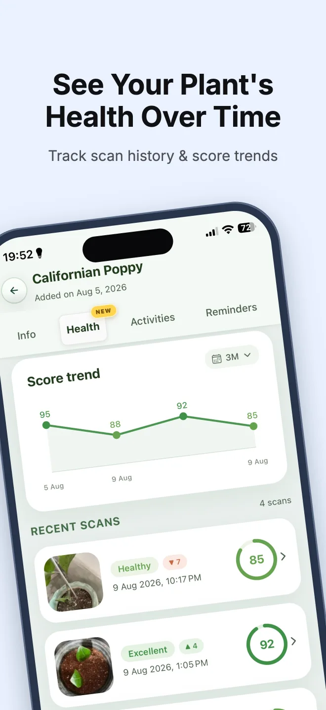 Verdora Health Scan history and Health Score trend chart