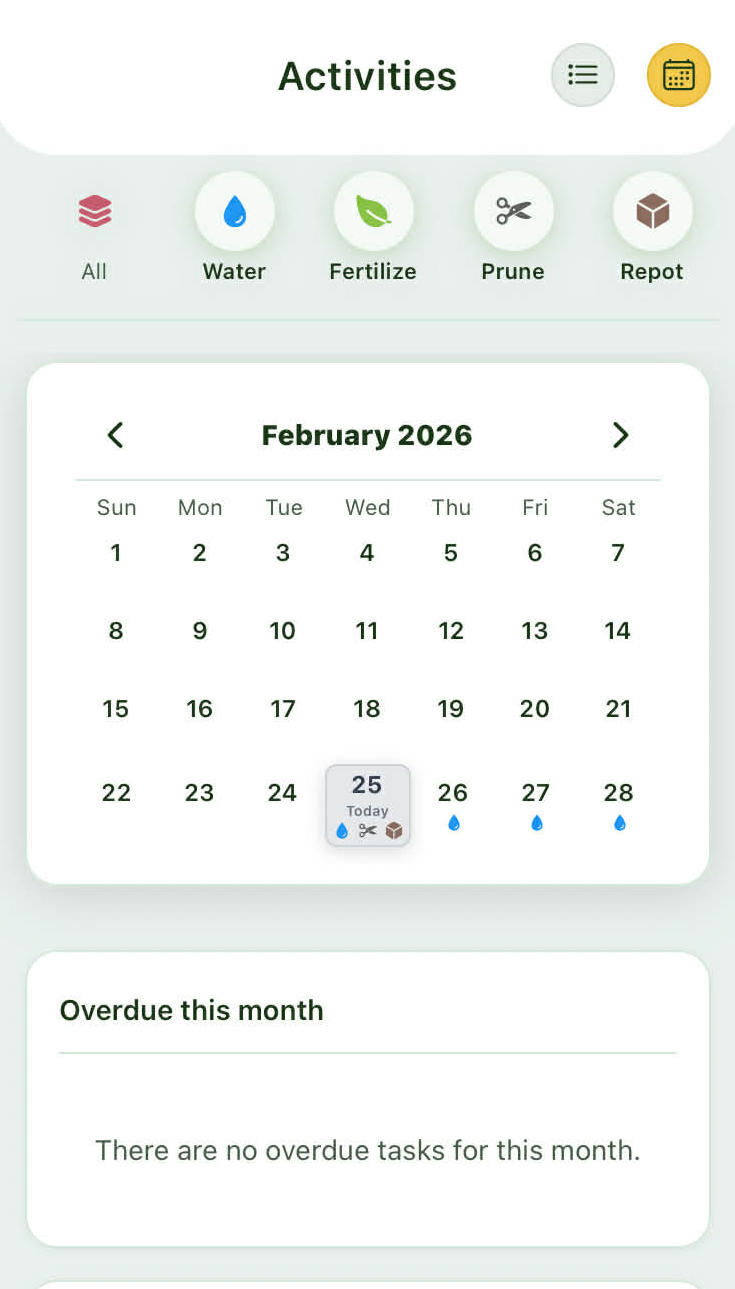 Activity calendar preview
